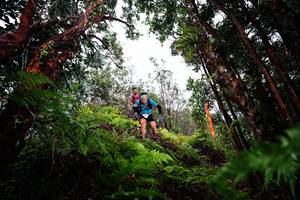 BIB: 
                            <button type="button" onclick="openModal(26201395)" class="btn btn-primary btn-sm float-right btn-popup" data-toggle="modal" data-target=".modal-high-quality">
                        <i class="fas fa-shopping-cart"></i> Add to Cart
                    </button>
                                            <button type="button" onclick="isThisMe(26201395, true)" class="btn btn-success btn-sm float-right btn-popup btn-isme hidden" data-toggle="tooltip" data-placement="bottom" title="นี่คือรูปของคุณใช่ไหม คลิกที่นี่เพื่อเอาเข้าอัลบั้ม">
                        <i class="fas fa-plus"></i> Add to album
                    </button>
                    <button type="button" onclick="isThisMe(26201395, false)" class="btn btn-warning btn-sm float-right btn-popup btn-isnotme hidden">
                        <i class="fas fa-ban"></i> Remove from album
                    </button>